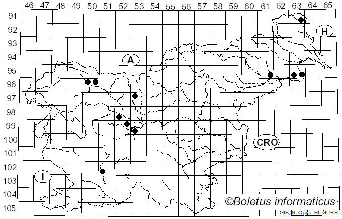 <i>Helminthosporium</i> Link (1809)