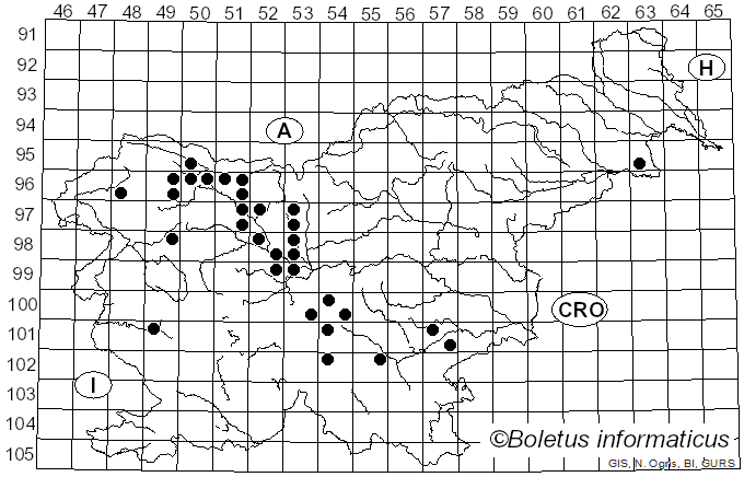 <i>Pseudoplectania nigrella</i> (Pers.) Fuckel (1869)