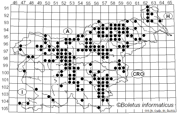 <i>Tylopilus felleus</i> (Bull.) P. Karst. (1881)