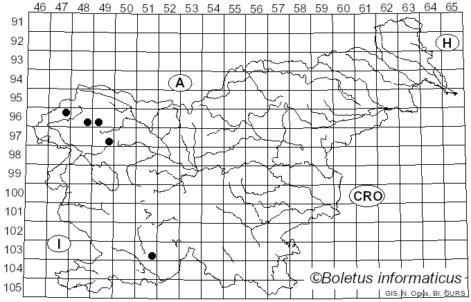<i>Romjularia lurida</i> (Ach.) Timdal (2007)