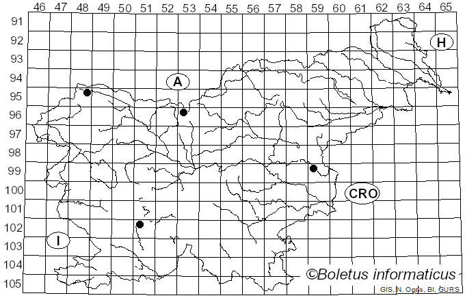 <i>Pholiotina teneroides</i> (J.E. Lange) Singer (1936)