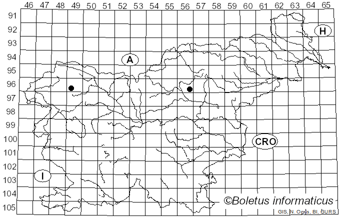 <i>Neohendersonia kickxii</i> (Westend.) B. Sutton & Pollack (1974)