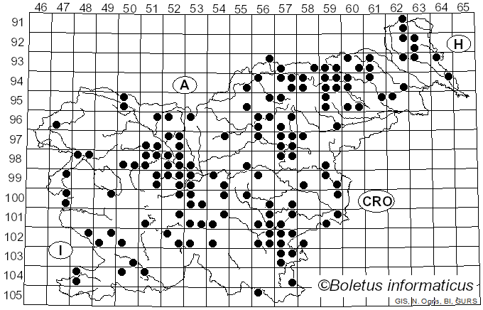 <i>Leccinum versipelle</i> (Fr.) Snell (1944)