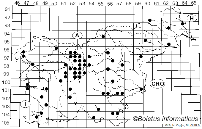 <i>Morchella semilibera</i> DC. (1815)