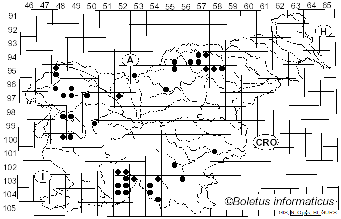 <i>Cetrelia</i> W.L. Culb. & C.F. Culb. (1968)