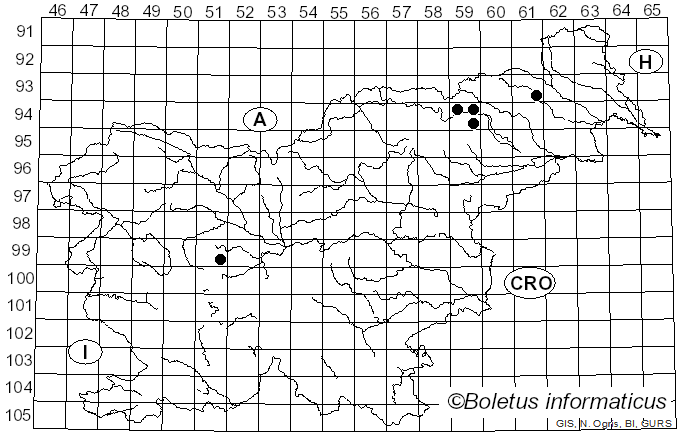 <i>Thaxterogaster barbatus</i> (Batsch) Niskanen & Liimat. (2022)