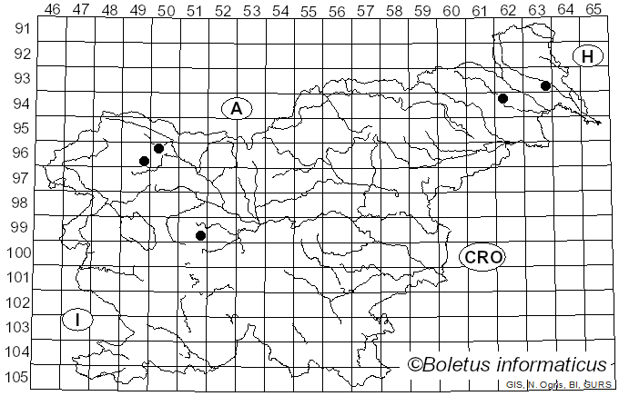 <i>Trichoderma strictipile</i> Bissett (1992)