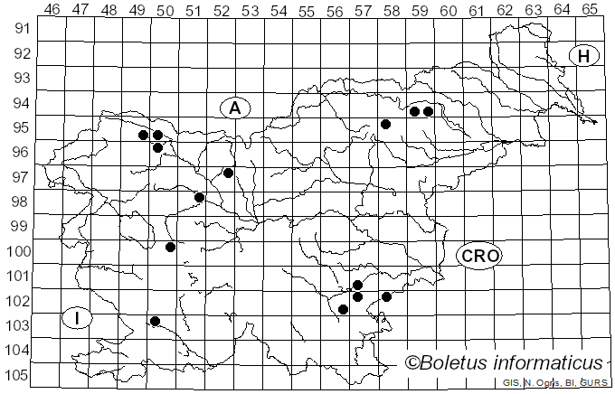 <i>Hydropodia subalpina</i> (Höhn.) Vizzini, Consiglio & M. Marchetti (2022)