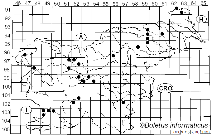 <i>Gloeoporus taxicola</i> (Pers.) Gilb. & Ryvarden (1985)