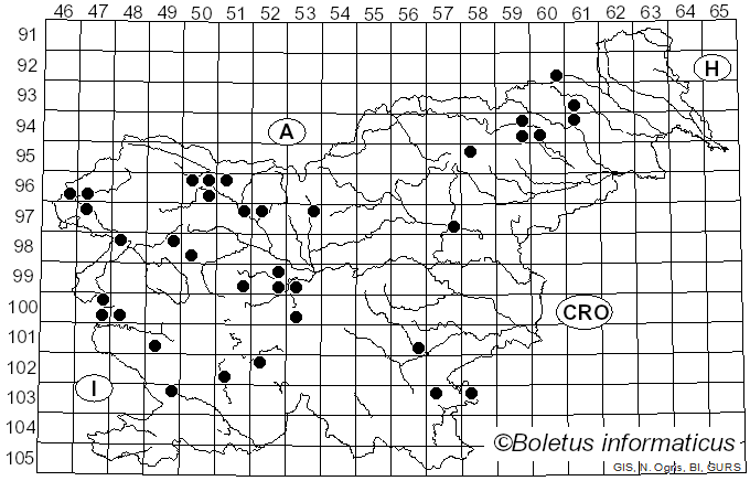 <i>Phylloporia ribis</i> (Schumach.) Ryvarden (1978)