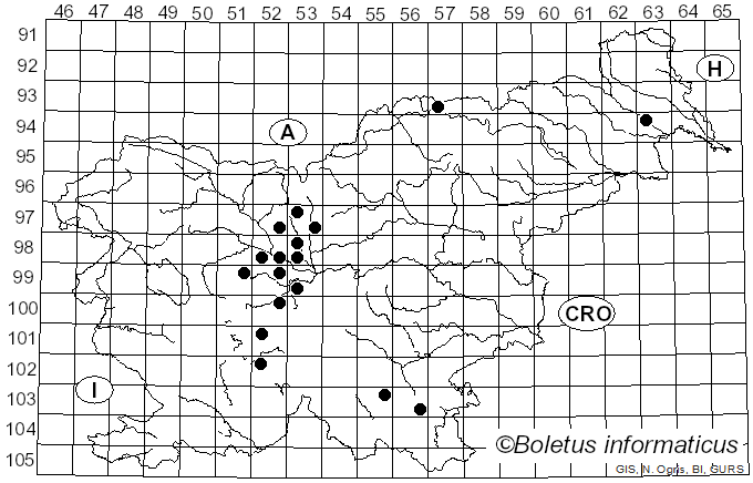 <i>Melampsora populnea</i> (Pers.) P. Karst. (1879)