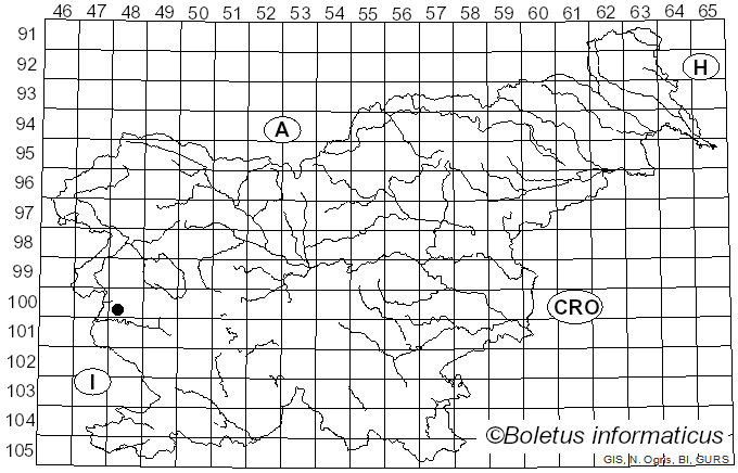 <i>Puccinia schroeteriana</i> Kleb. (1895)