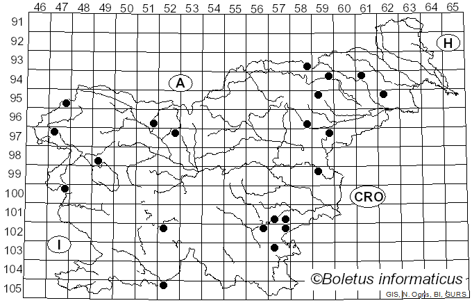 <i>Laeticutis</i> Audet (2010)