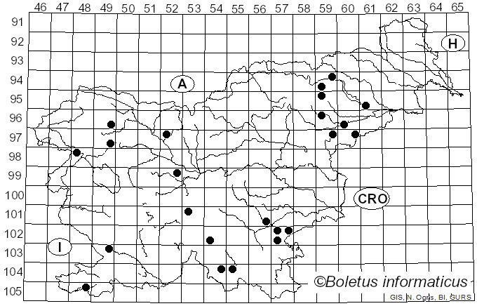 <i>Russula rubroalba</i> (Singer) Romagn. (1967)