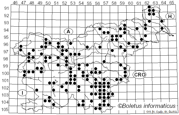<i>Chlorociboria</i> Seaver ex C.S. Ramamurthi, Korf & L.R. Batra (1958)