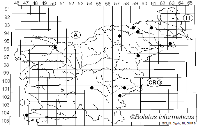 <i>Mycenella</i> (J.E. Lange) Singer (1938)