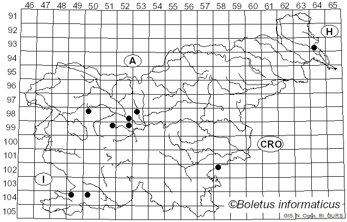 <i>Hemitrichia calyculata</i> (Speg.) M.L. Farr (1974)