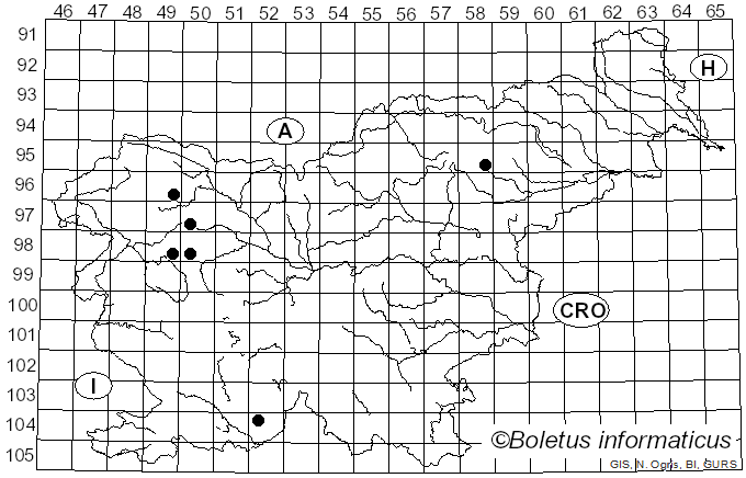 <i>Mallocybe</i> (Kuyper) Matheny, Vizzini & Esteve-Rav. (2019)