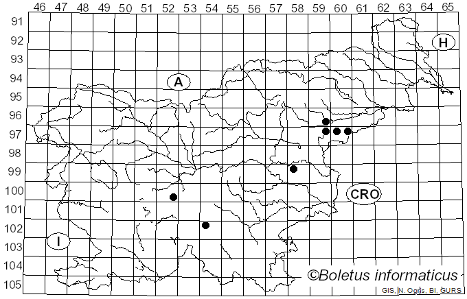 <i>Ceratocystis</i> Ellis & Halst. (1890)