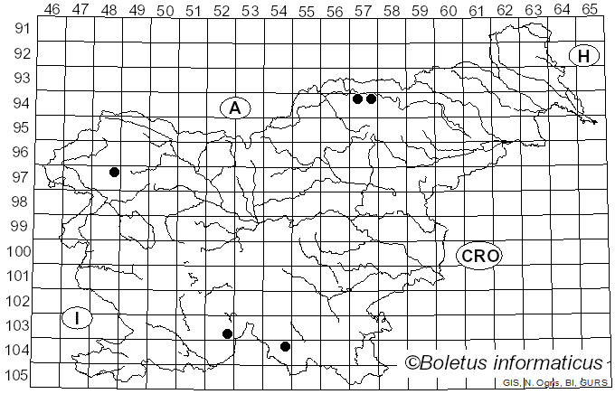 <i>Bacidia laurocerasi</i> (Delise ex Duby) Zahlbr. (1926)