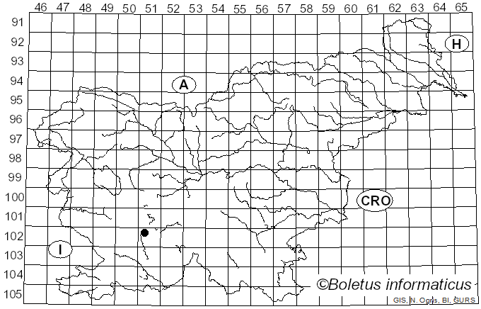 <i>Arcyodes incarnata</i> (Alb. & Schwein.) O.F. Cook (1902)