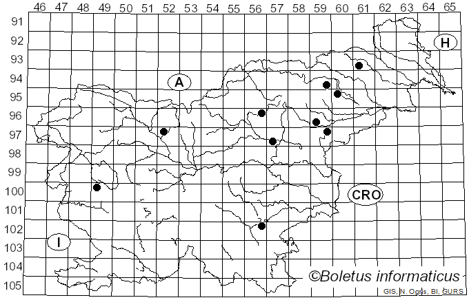 <i>Pluteus luctuosus</i> Boud. (1905)