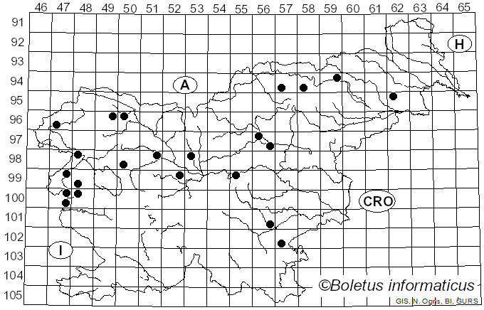 <i>Melanophyllum haematospermum</i> (Bull.) Kreisel (1984)