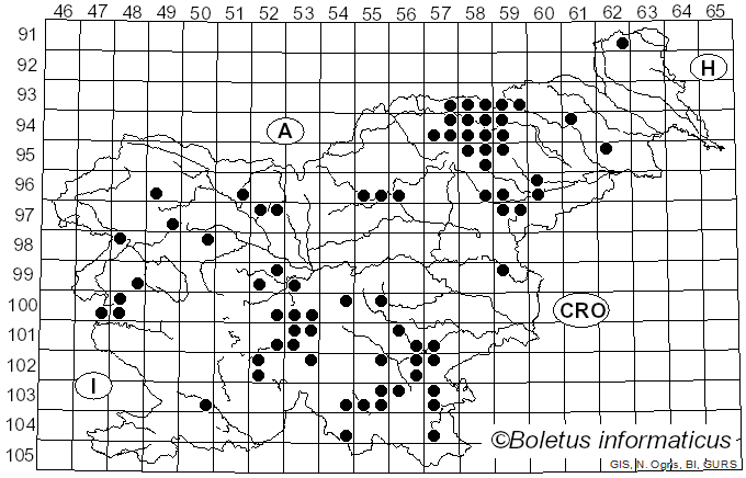 <i>Phellinus hartigii</i> (Allesch. & Schnabl) Pat. (1903)