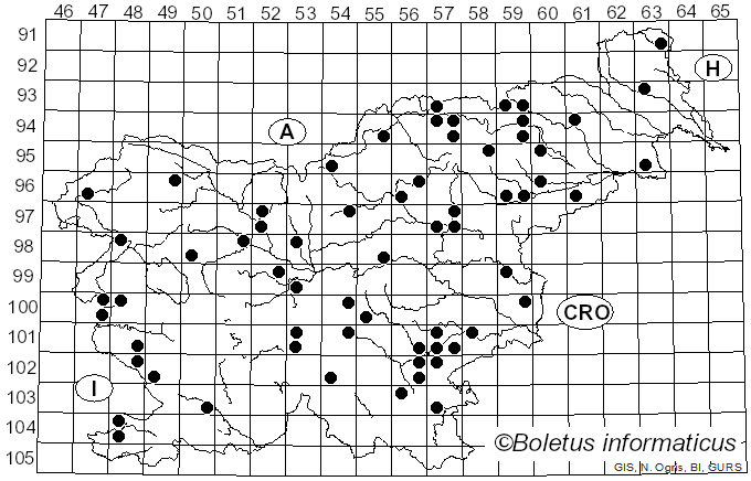 <i>Pholiota gummosa</i> (Lasch) Singer (1951)