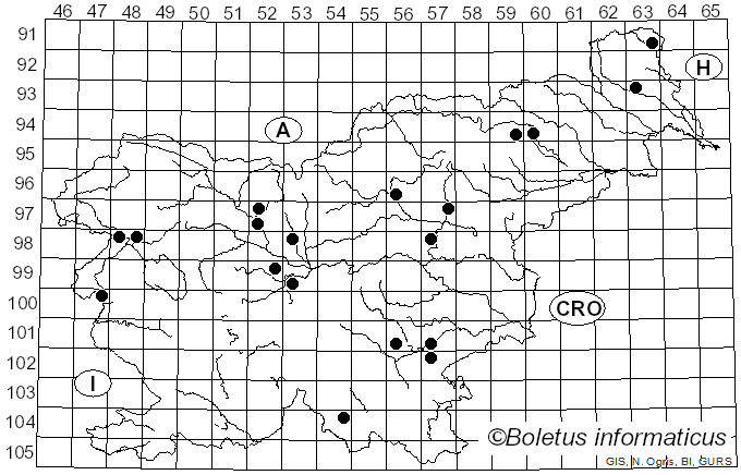 <i>Clitocybe umbilicata</i> (Schaeff.) P. Kumm. (1871)