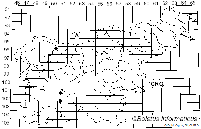 <i>Corinectria fuckeliana</i> (C. Booth) C. González & P. Chaverri (2017)