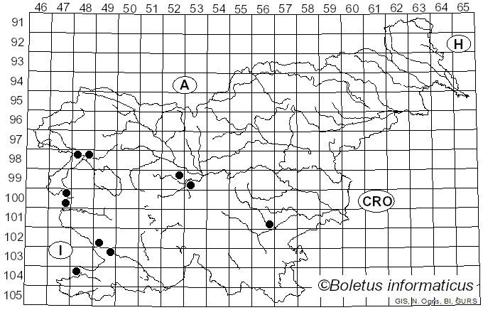 <i>Phlegmacium magicum</i> (Eichhorn) Niskanen & Liimat. (2023)