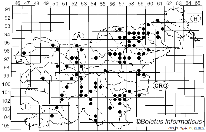 <i>Hypholoma fasciculare</i> var. <i>pusillum</i> J.E. Lange (1923)