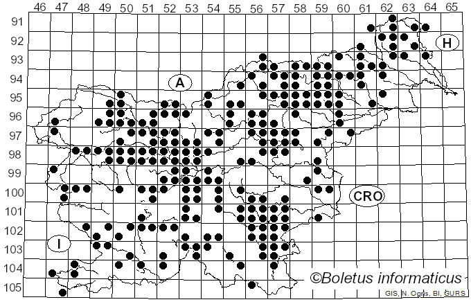 <i>Imleria badia</i> (Fr.) Vizzini (2014)
