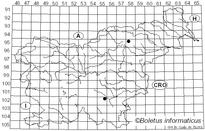 <i>Hypochnicium bombycinum</i> (Sommerf.) J. Erikss. (1958)