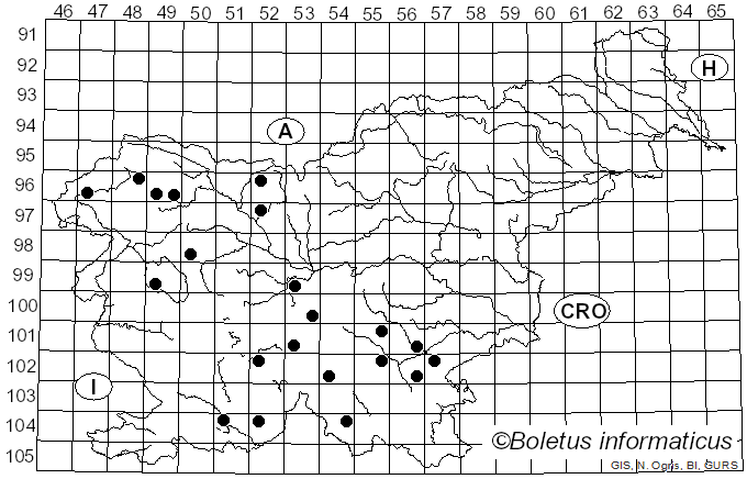 <i>Cortinarius venetus</i> var. <i>montanus</i> M.M. Moser (1970)