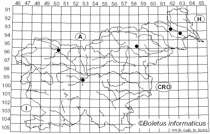 <i>Trematosphaeria</i> Fuckel (1870)