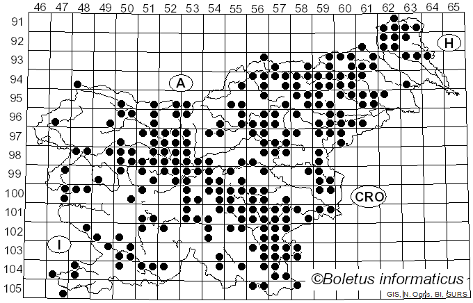 <i>Fomitopsis betulina</i> (Bull.) B.K. Cui, M.L. Han & Y.C. Dai (2016)