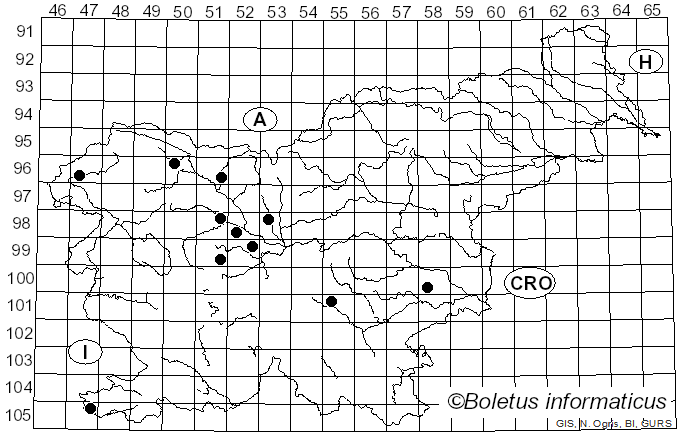 <i>Perichaena</i> Fr. (1817)