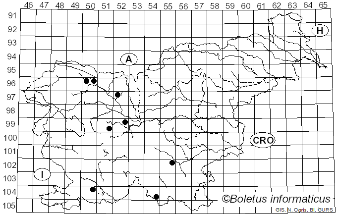 <i>Scytinostroma</i> Donk (1956)
