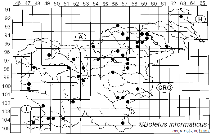 <i>Tyromyces lacteus</i> (Fr.) Murrill (1907)