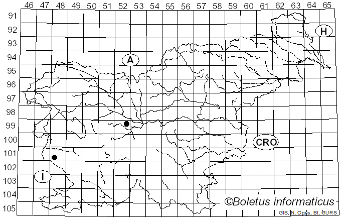 <i>Gloeocystidiellum clavuligerum</i> (Höhn. & Litsch.) Nakasone (1982)