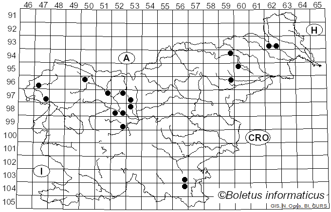 <i>Verpa</i> Sw. (1815)