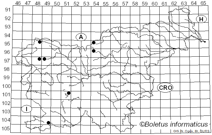 <i>Cheilosia mutabilis</i> Fallen