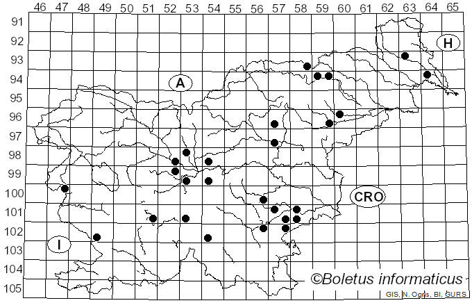 <i>Russula persicina</i> Krombh. (1845)