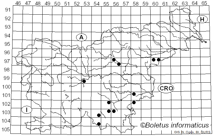 <i>Leptotrimitus</i> Pouzar (1966)