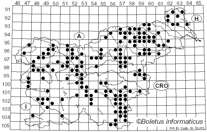 <i>Bovista</i> Pers. (1794)