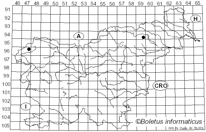 <i>Galerina ampullaceocystis</i> P.D. Orton (1960)