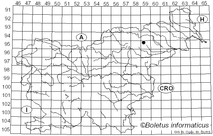 <i>Clitocybe foetens</i> Melot (1980)