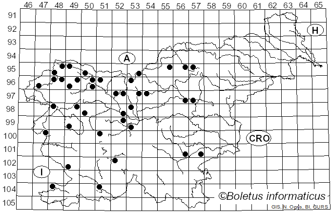 <i>Suillus tridentinus</i> (Bres.) Singer (1945)